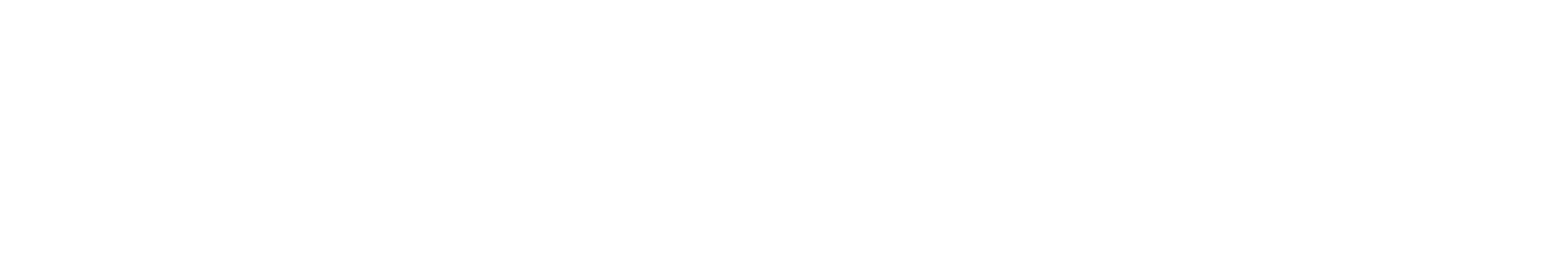 soffe brand logo